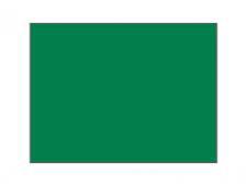 Practice green flag Ã˜ 1.3 cm rod&amp;lt;br&amp;gt;Green - Large tube (1 pc)