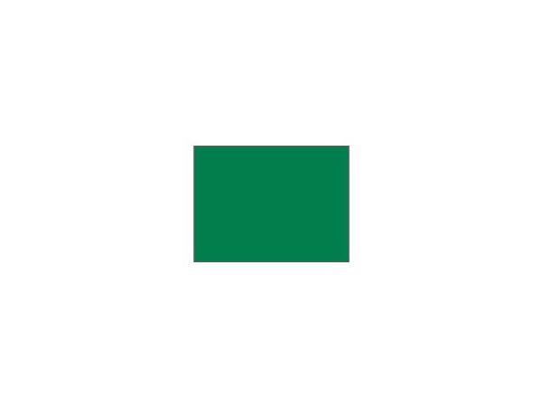 Plain nylon Range flag - Green <br>incl. Snap-Lock swivel snaps 