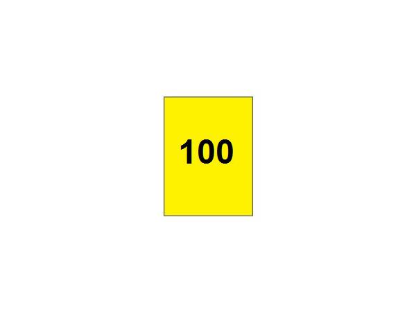 Range flag 100 vertical<br>Yellow/black - with tube