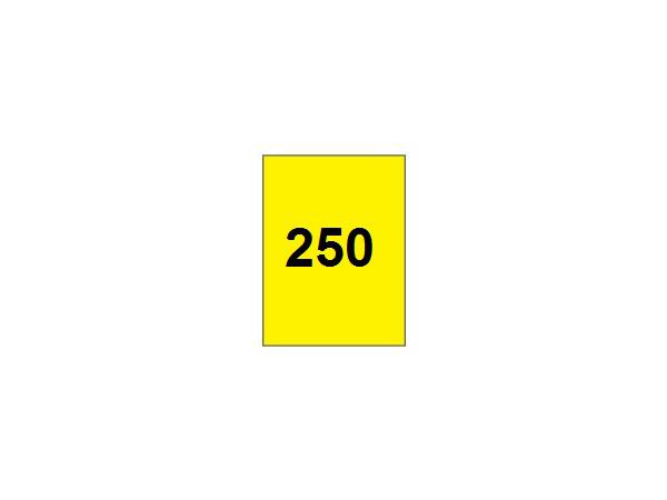 Range flag 250 vertical <br>Yellow/black - with tube 